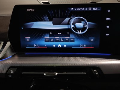 2025 BMW X2 缩略图 59