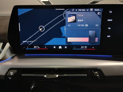 2025 BMW X2 缩略图 55