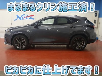 LEXUS NX - 4