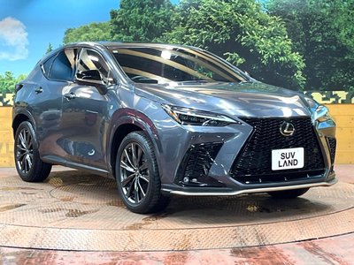 2023 Lexus NX — миниатюра 16
