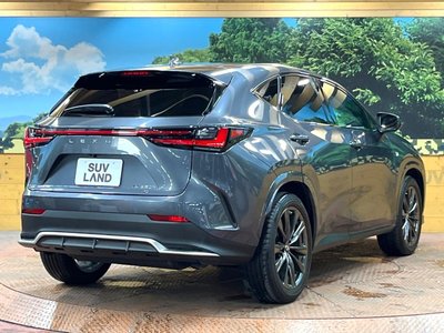 2023 Lexus NX — миниатюра 17