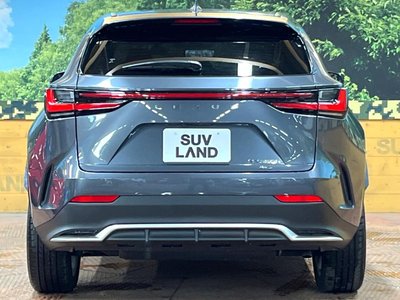 2023 Lexus NX — миниатюра 15