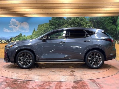 2023 Lexus NX — миниатюра 65