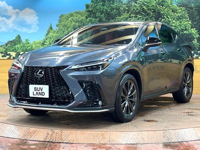 2023 Lexus NX — миниатюра 62