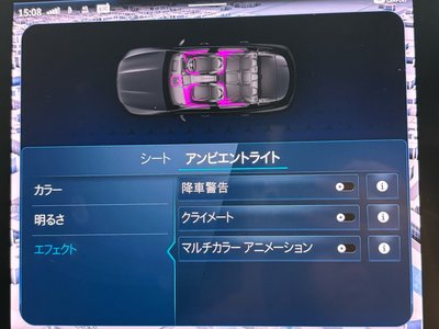 Thumbnail 31