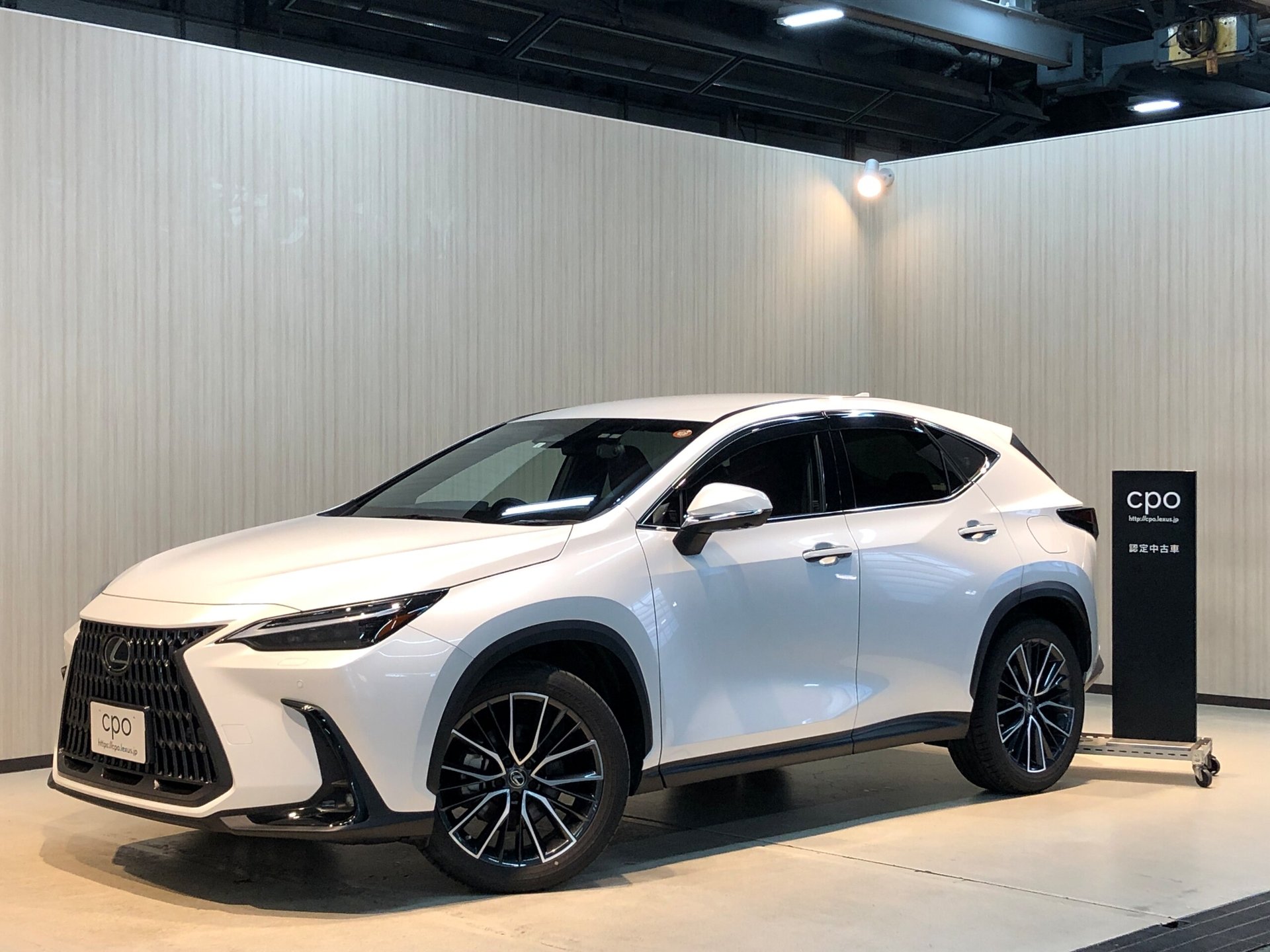 LEXUS NX - View 1