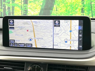 صورة مصغرة 38 لـ 2019 Lexus RX