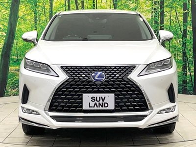 صورة مصغرة 14 لـ 2019 Lexus RX