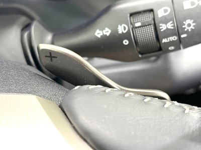 صورة مصغرة 58 لـ 2019 Lexus RX