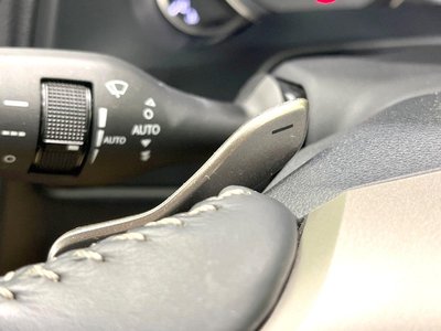 صورة مصغرة 57 لـ 2019 Lexus RX