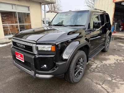 TOYOTA LAND CRUISER 250 - 10