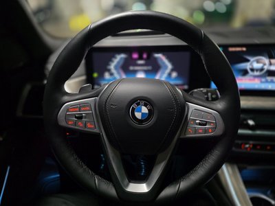 2023 BMW X7 缩略图 12