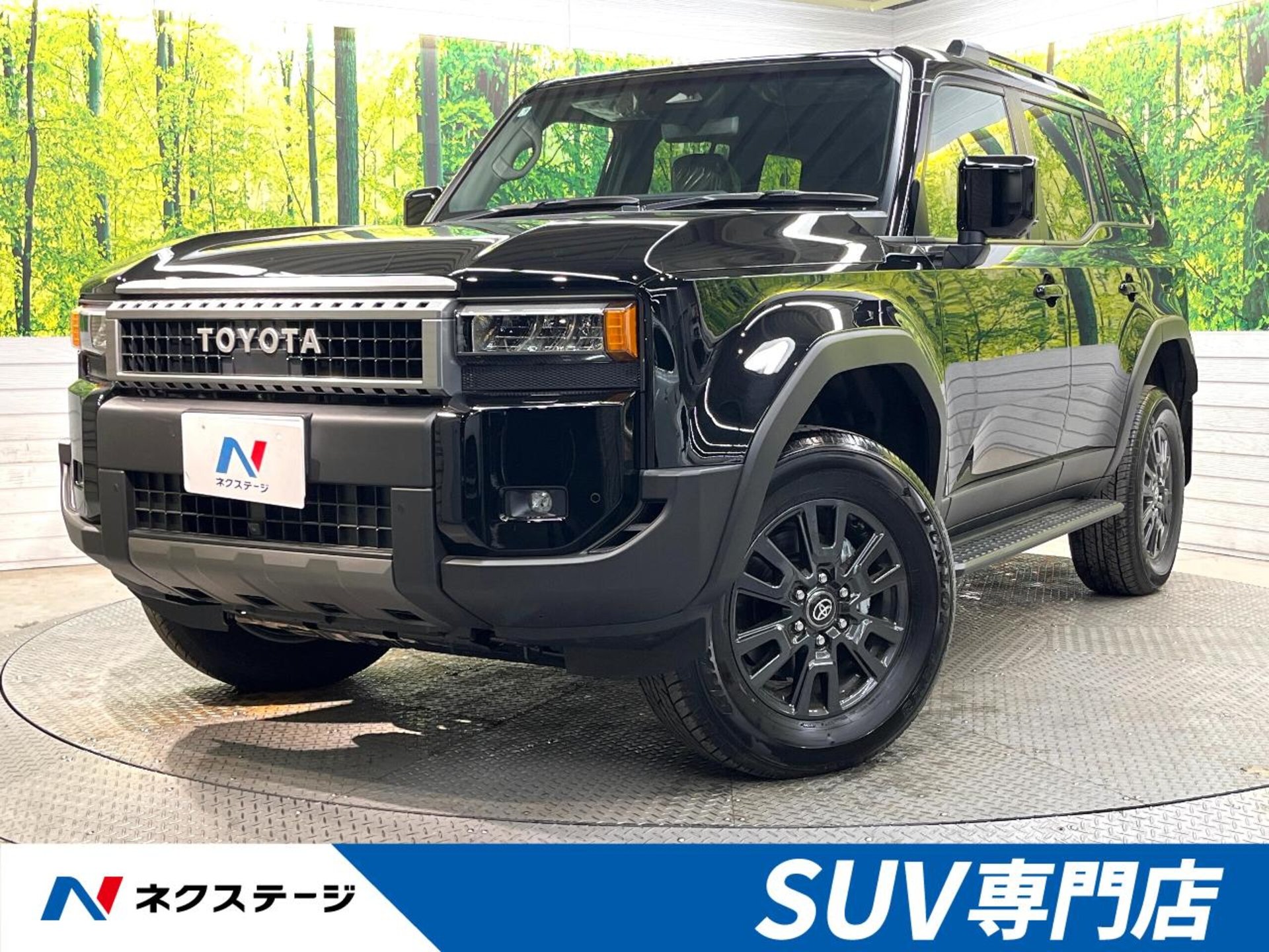 TOYOTA LAND CRUISER 250 - View 1