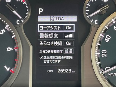 TOYOTA LAND CRUISER PRADO - 7