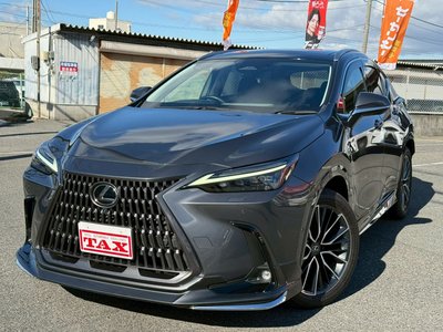 LEXUS NX - 2