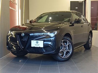 ALFA ROMEO STELVIO - 8