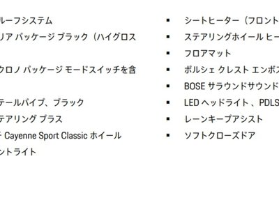 PORSCHE CAYENNE COUPE - 3