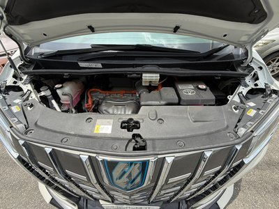 2023 Toyota ALPHARD 照片 5