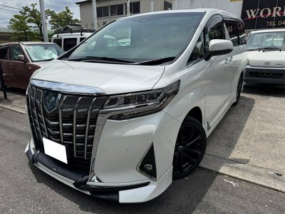 2023 Toyota ALPHARD 照片 4