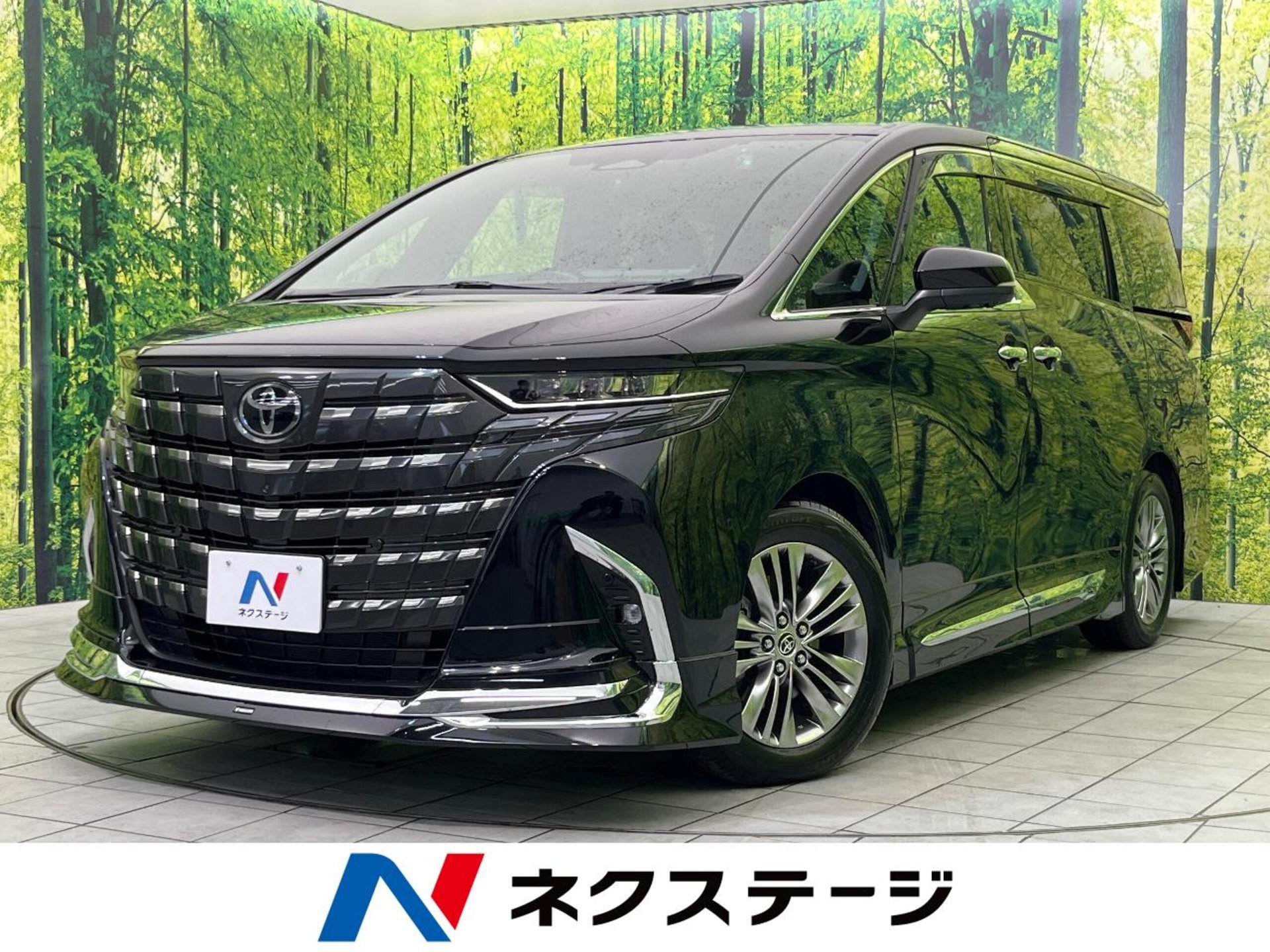 TOYOTA ALPHARD - View 1
