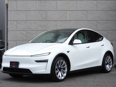 TESLA MODEL Y - 1