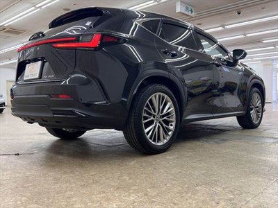 2024 Lexus NX — миниатюра 19