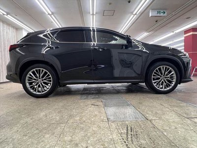 2024 Lexus NX — миниатюра 17