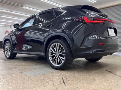 2024 Lexus NX — миниатюра 20