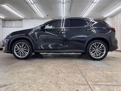 2024 Lexus NX — миниатюра 21