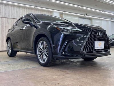 2024 Lexus NX — миниатюра 16