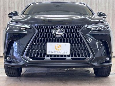 2024 Lexus NX — миниатюра 15