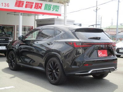 2023 Lexus NX photo 10