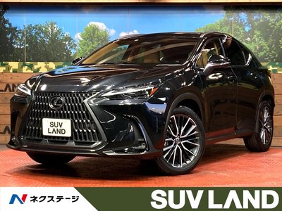 LEXUS NX - 1