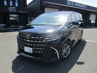 TOYOTA ALPHARD - 1