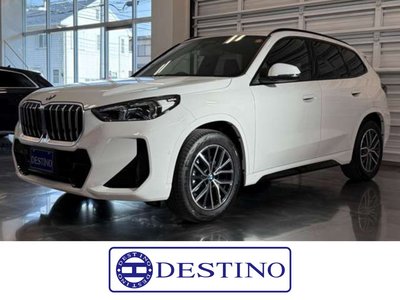BMW X1 - 1