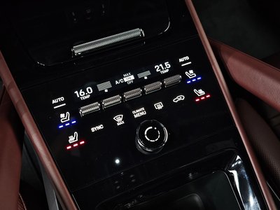 2024 Porsche CAYENNE 缩略图 31