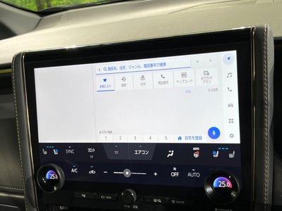2024 Toyota ALPHARD thumbnail 21