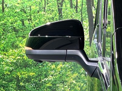 2024 Toyota ALPHARD thumbnail 72