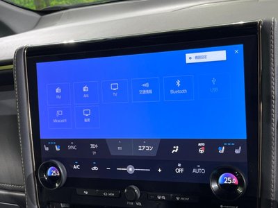 2024 Toyota ALPHARD thumbnail 22