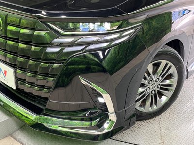 2024 Toyota ALPHARD thumbnail 12