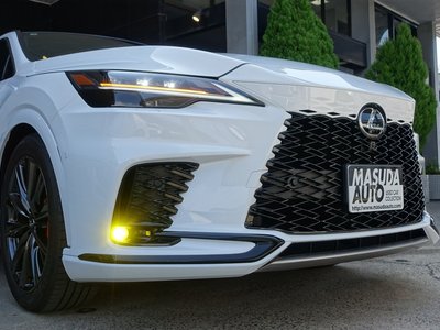 2025 Lexus RX — миниатюра 29