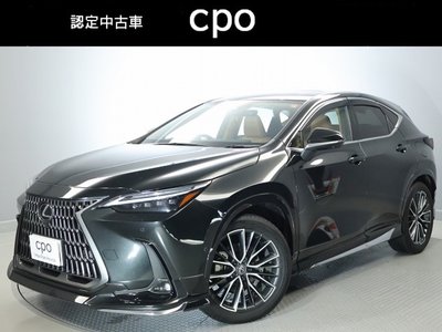 LEXUS NX - 1