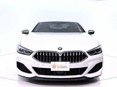 2019 BMW 8 SERIES 照片 10