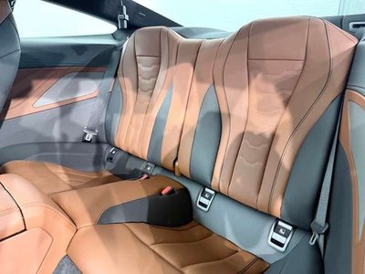 2019 BMW 8 SERIES 缩略图 32