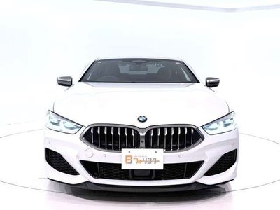 2019 BMW 8 SERIES 缩略图 11