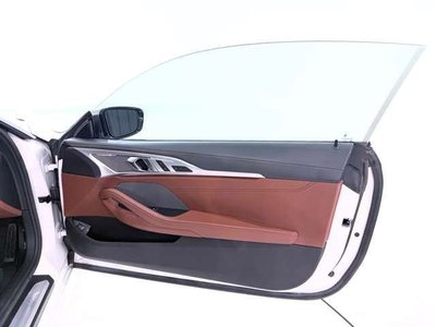 2019 BMW 8 SERIES 缩略图 26