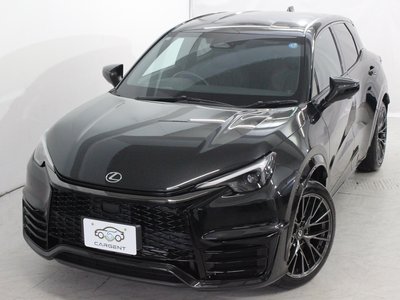 2025 Lexus LBX 照片 6