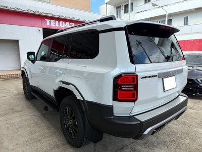 2026 Toyota LAND CRUISER 250 photo 10