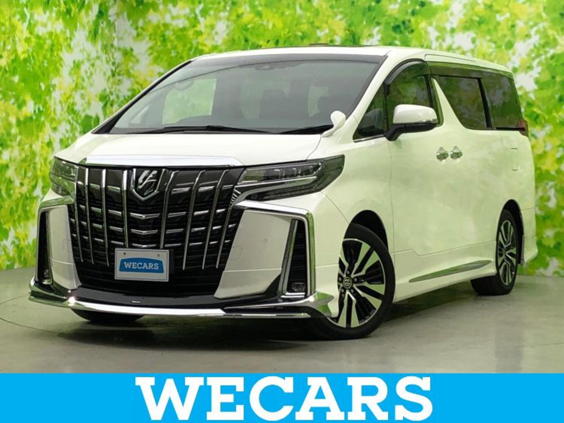 TOYOTA ALPHARD - View 1