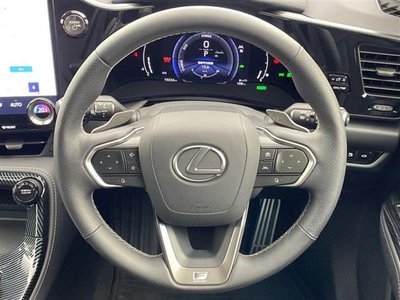 2025 Lexus NX — миниатюра 15